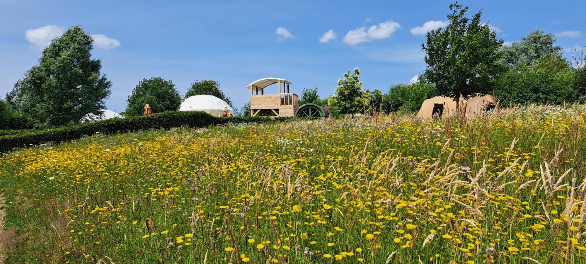 Ecochique Ξενοδοχείο Westouter Εξωτερικό φωτογραφία